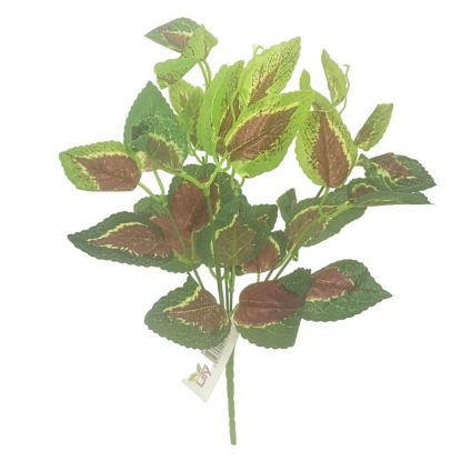 Picture of 32cm COLEUS BUSH GREEN/RED