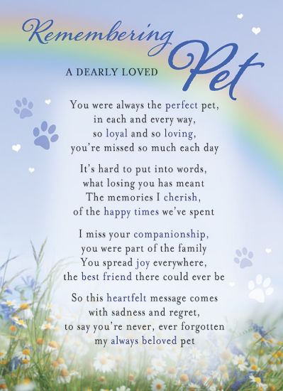 Picture of PLASTIC COATED MEMORIAL CARD X 6pcs - REMEMBERING A DEARLY LOVED PET